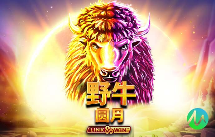 期期中官网app下载